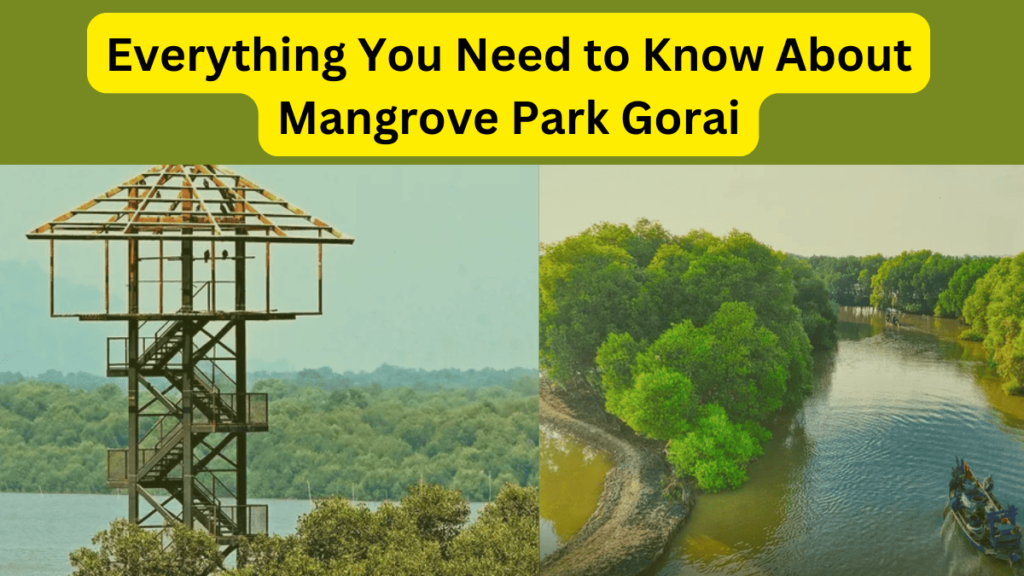 Mangrove Park Gorai