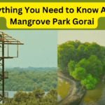 Mangrove Park Gorai