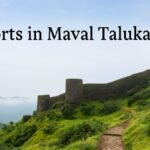 Must-Visit Best Forts in Maval Taluka (मावळ तालुक्यातील गड-किल्ले) for Nature and History Lovers