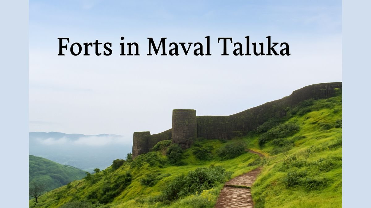 Must-Visit Best Forts in Maval Taluka (मावळ तालुक्यातील गड-किल्ले) for Nature and History Lovers