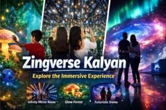 Zingverse Kalyan Complete Guide to the New Immersive Experience in 2026