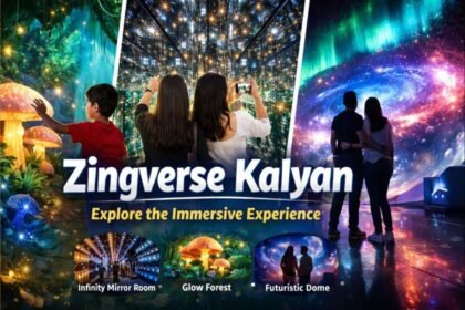 Zingverse Kalyan Complete Guide to the New Immersive Experience in 2026